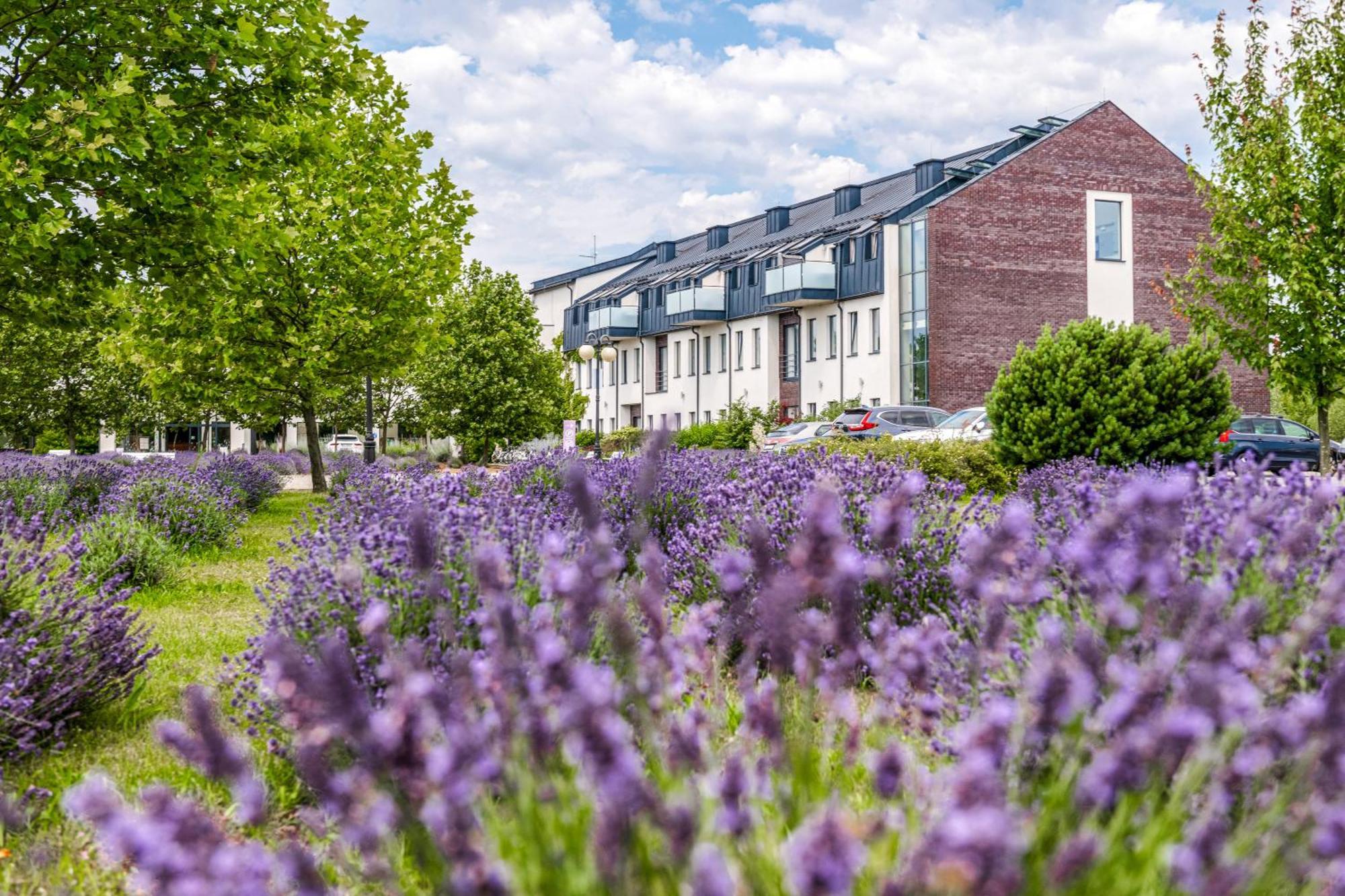 Lawendowe Termy Hotel Uniejow Luaran gambar